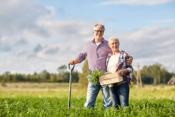 Image showing senior couple with shovel and carrots on farm