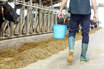 Image showing man with bucket walking in cowshed on dairy farm