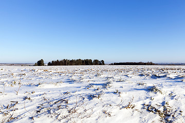 Image showing snow-covered field, winter