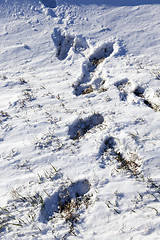 Image showing human footprints in the snow