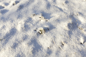 Image showing bumps in the snow, winter