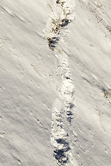 Image showing human footprints in the snow