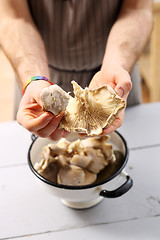 Image showing Oyster mushrooms mushrooms and olive oil. oyster mushrooms in the kitchen.