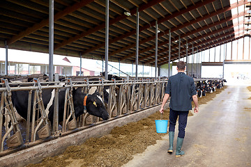 Image showing man with bucket walking in cowshed on dairy farm