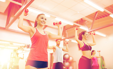 Image showing group of people working out with dumbbells