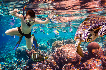 Image showing Snorkeler Maldives Indian Ocean coral reef.