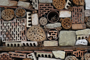 Image showing detail of insect hotel house