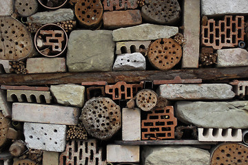 Image showing detail of insect hotel house