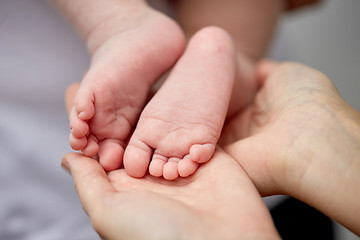 Image showing close up of newborn baby feet in mother hands