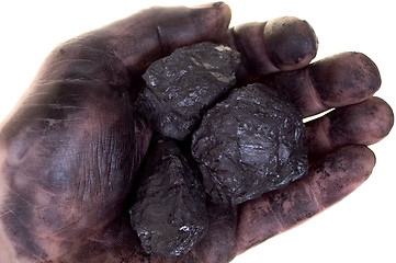 Image showing Pieces of coal in dirty palm