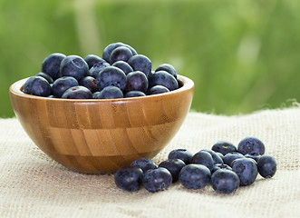 Image showing Blueberries