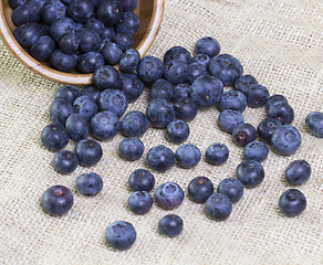 Image showing Blueberries