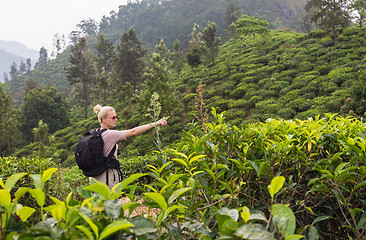 Image showing Female tourist enjoying beautiful nature of tea plantations, Sri Lanka.