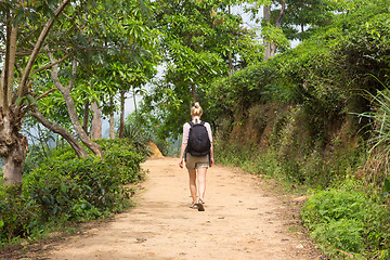 Image showing Female tourist enjoying beautiful nature of tea plantations, Sri Lanka.