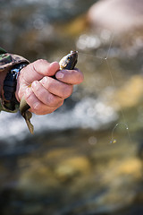 Image showing Fisherman holding caught