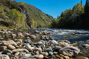 Image showing Fast mountain river in Altay