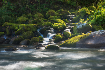 Image showing Fast mountain river in Altay