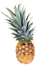 Image showing Pineapple