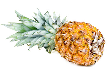 Image showing Pineapple