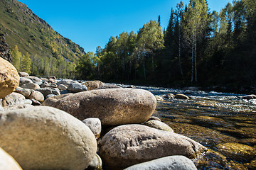 Image showing Fast mountain river in Altay