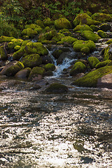 Image showing Fast mountain river in Altay