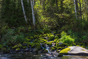 Image showing Fast mountain river in Altay