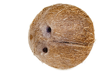 Image showing Coconut isolated