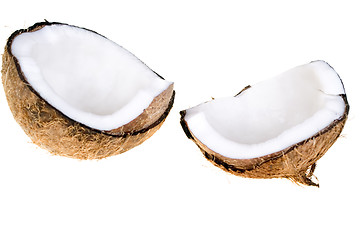 Image showing Coconut isolated
