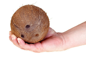 Image showing Coconut isolated