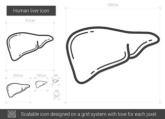 Image showing Human liver line icon.