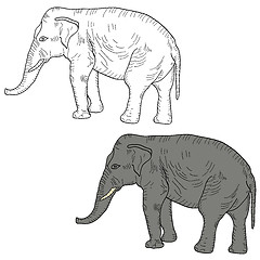 Image showing Sketch a large African elephant on a white background. illustration