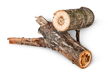 Image showing Two poplar logs rotated