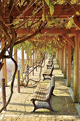 Image showing Tsuyama castle park with viewpoint benches