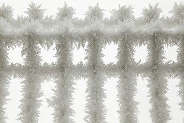 Image showing Frozen Fence