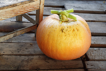 Image showing Pumpkin.