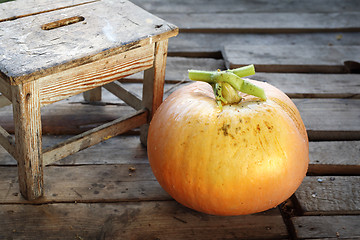 Image showing Variety of pumpkin. Season the pumpkin.