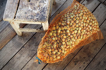 Image showing Hazelnuts in a sack.