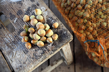 Image showing Autumn harvest of nuts, home pantry