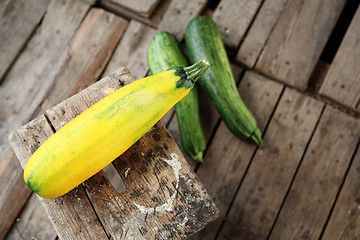 Image showing Courgette. Cucurbit. Zucchini and cucurbit.