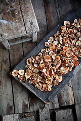 Image showing Dietary apple chips. Dried fruits.