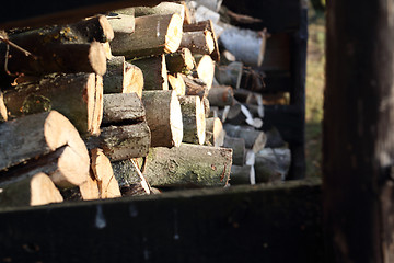 Image showing Firewood.