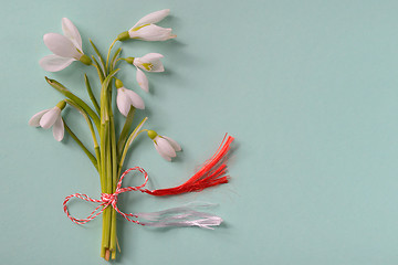 Image showing Macro snowdrops bucket 