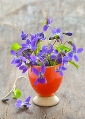 Image showing violets flowers (Viola odorata) 