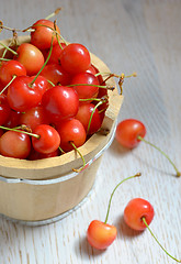 Image showing Fresh cherries in a bucket 