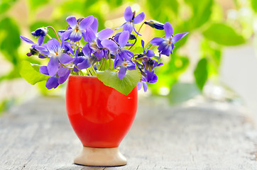 Image showing violets flowers (Viola odorata)