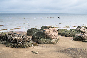 Image showing Rocky beach on the Gulf of Finland. Sillamae, Estonia