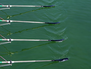 Image showing Close up oars of quadruple skulls rowing team race