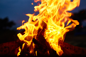 Image showing Fire flames background