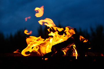 Image showing Fire flames background