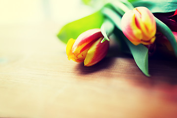 Image showing close up of tulip flowers on wooden table